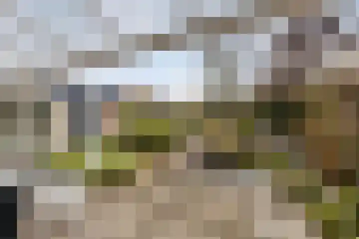 Waterstraat 8 Halsteren thumbnail 33