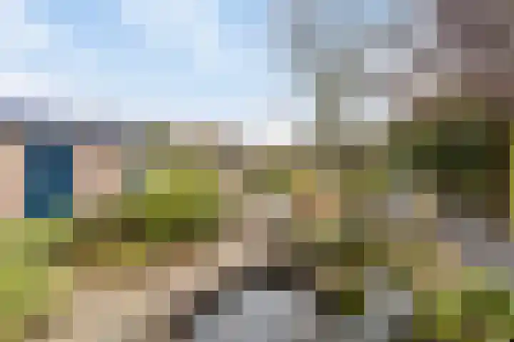 Waterstraat 8 Halsteren thumbnail 34