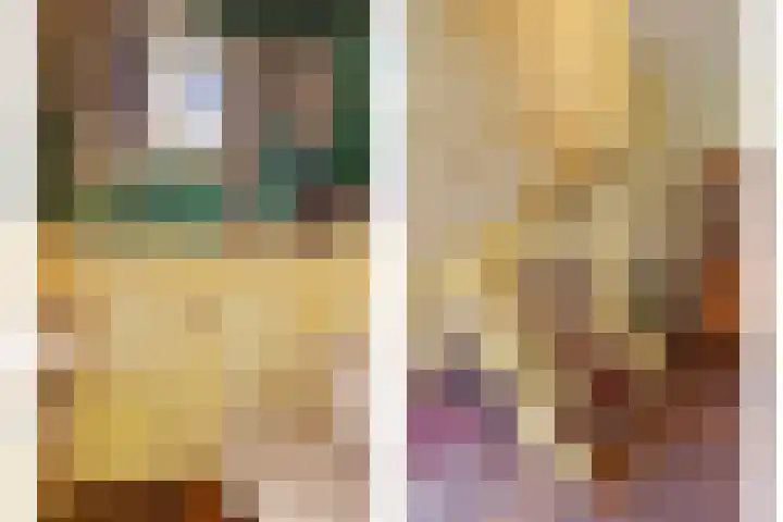 Waterstraat 8 Halsteren thumbnail 5