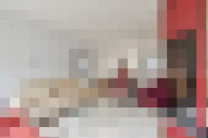 Waterstraat 8 Halsteren thumbnail 8