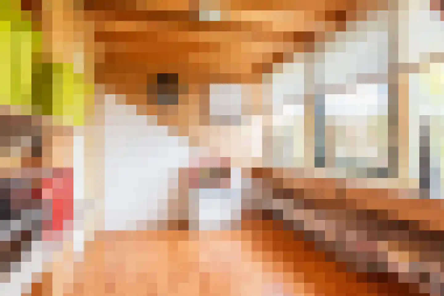 Waterstraat 8 Ulft thumbnail 30