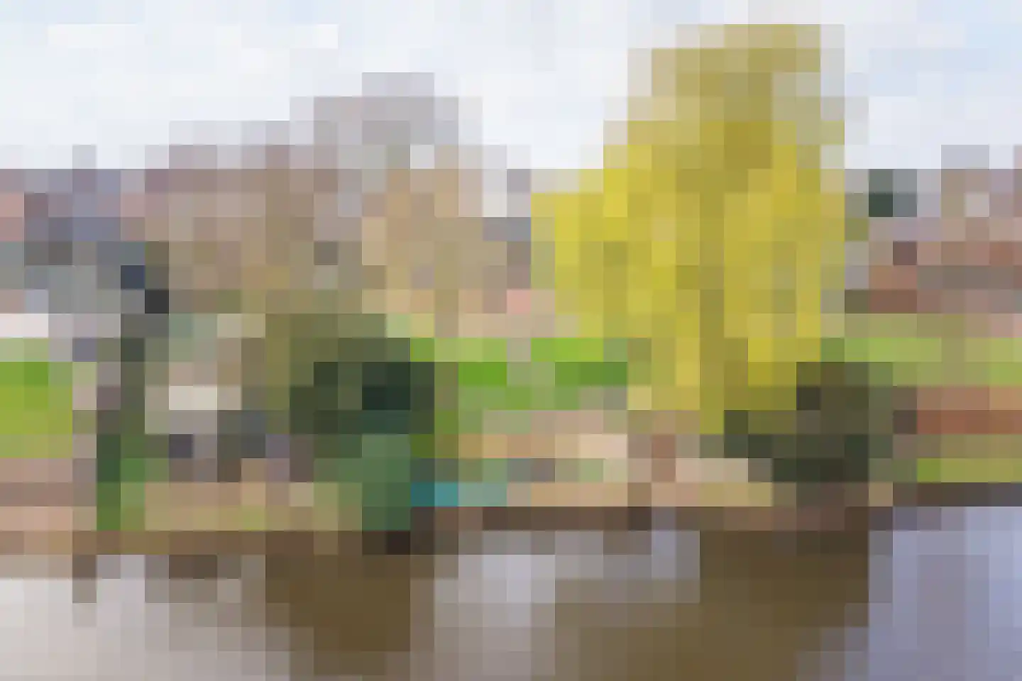 Waterstraat 8 Ulft thumbnail 31