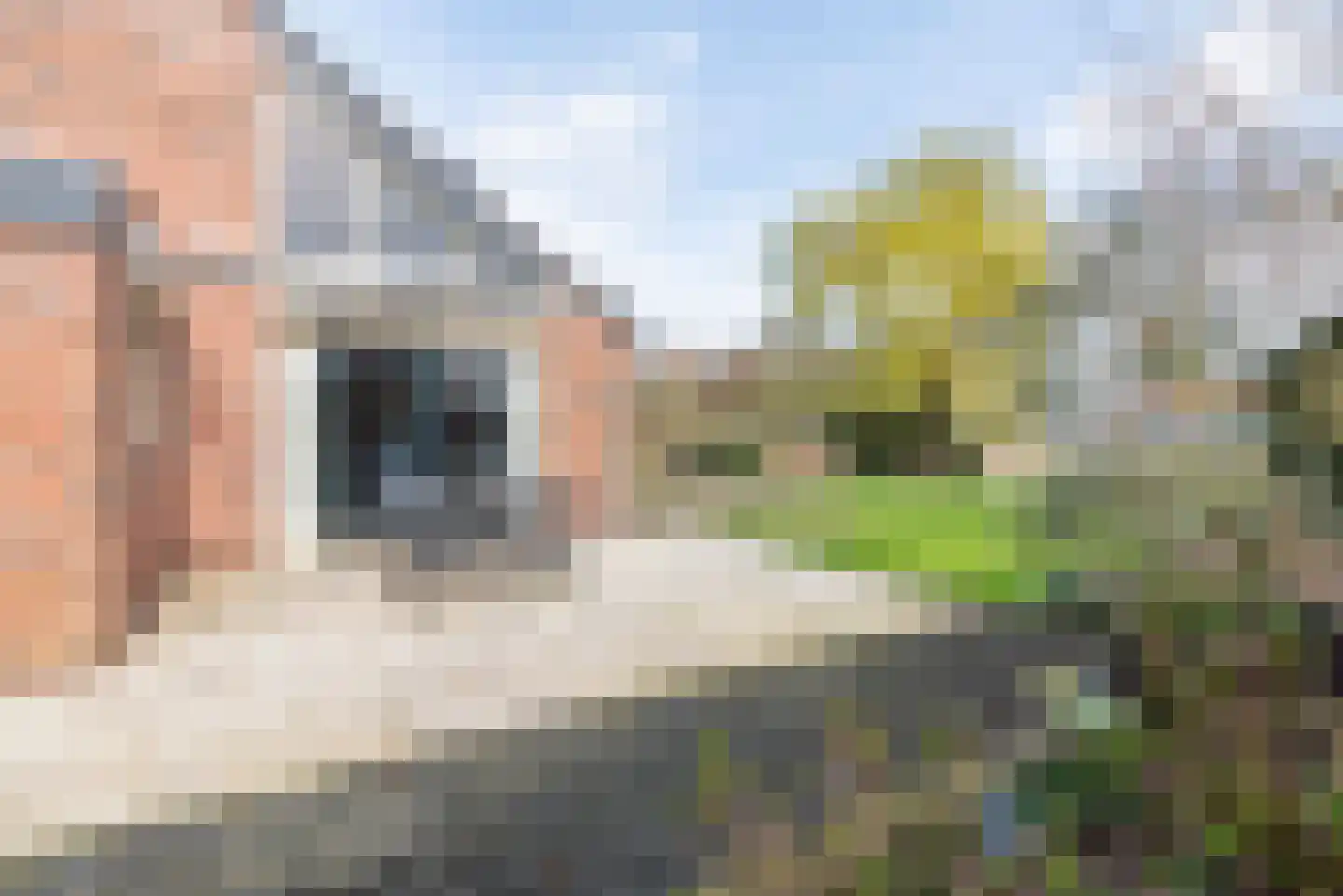 Waterstraat 8 Ulft thumbnail 34