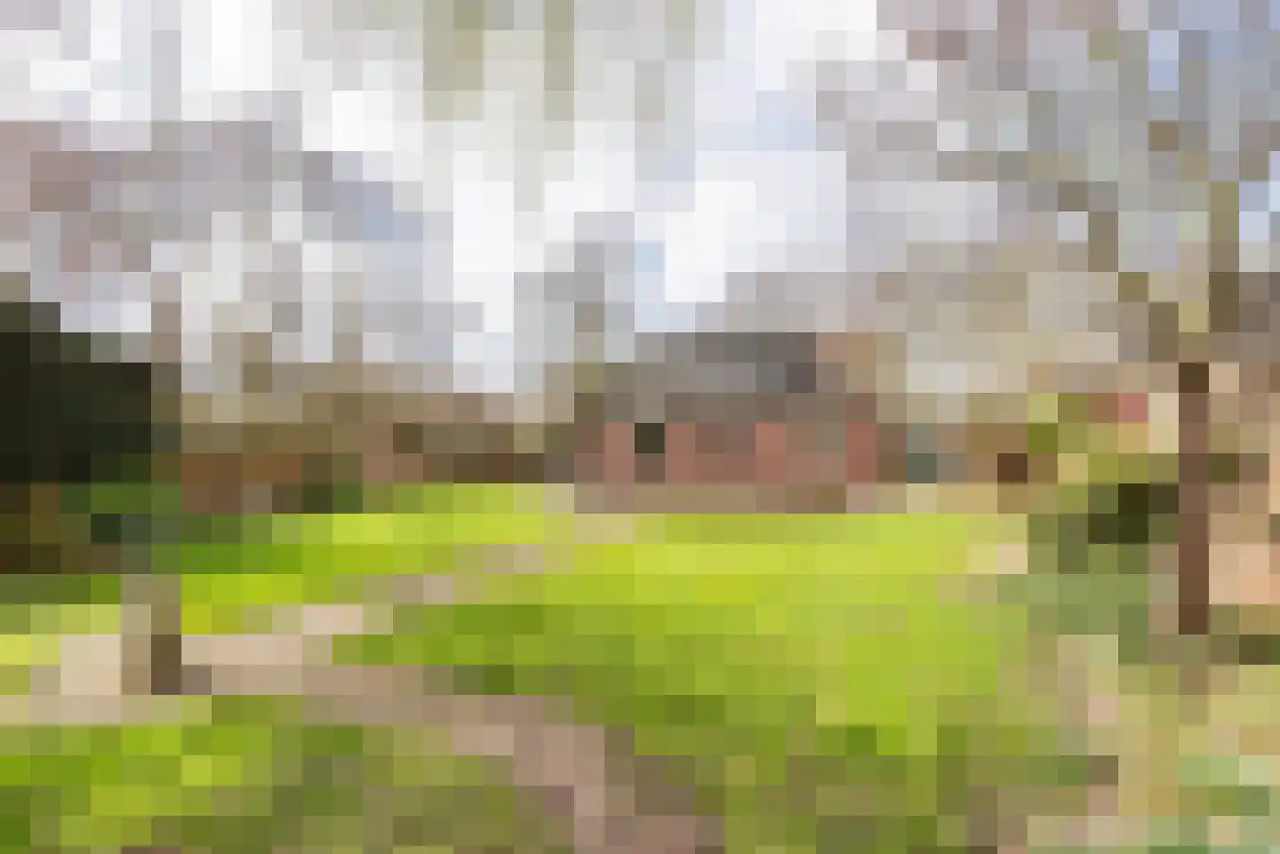 Waterstraat 8 Ulft thumbnail 35