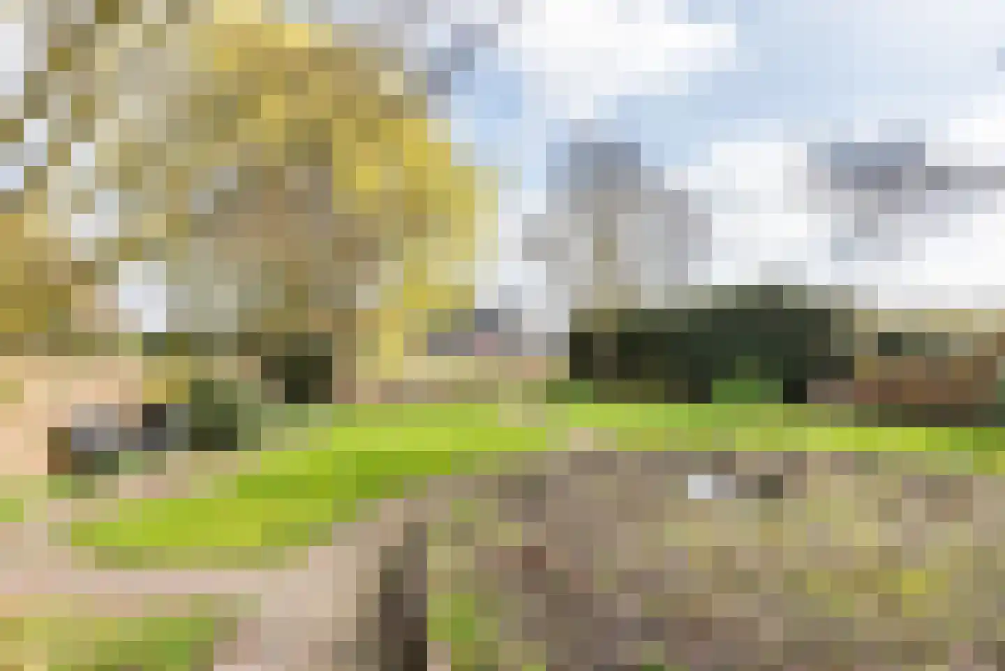 Waterstraat 8 Ulft thumbnail 36