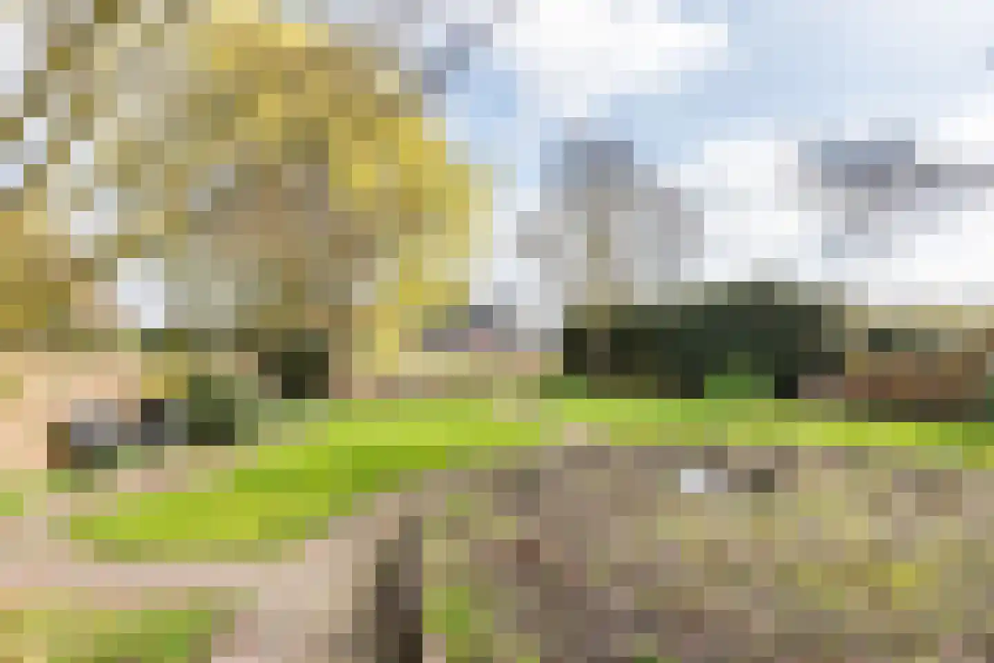 Waterstraat 8 Ulft thumbnail 36