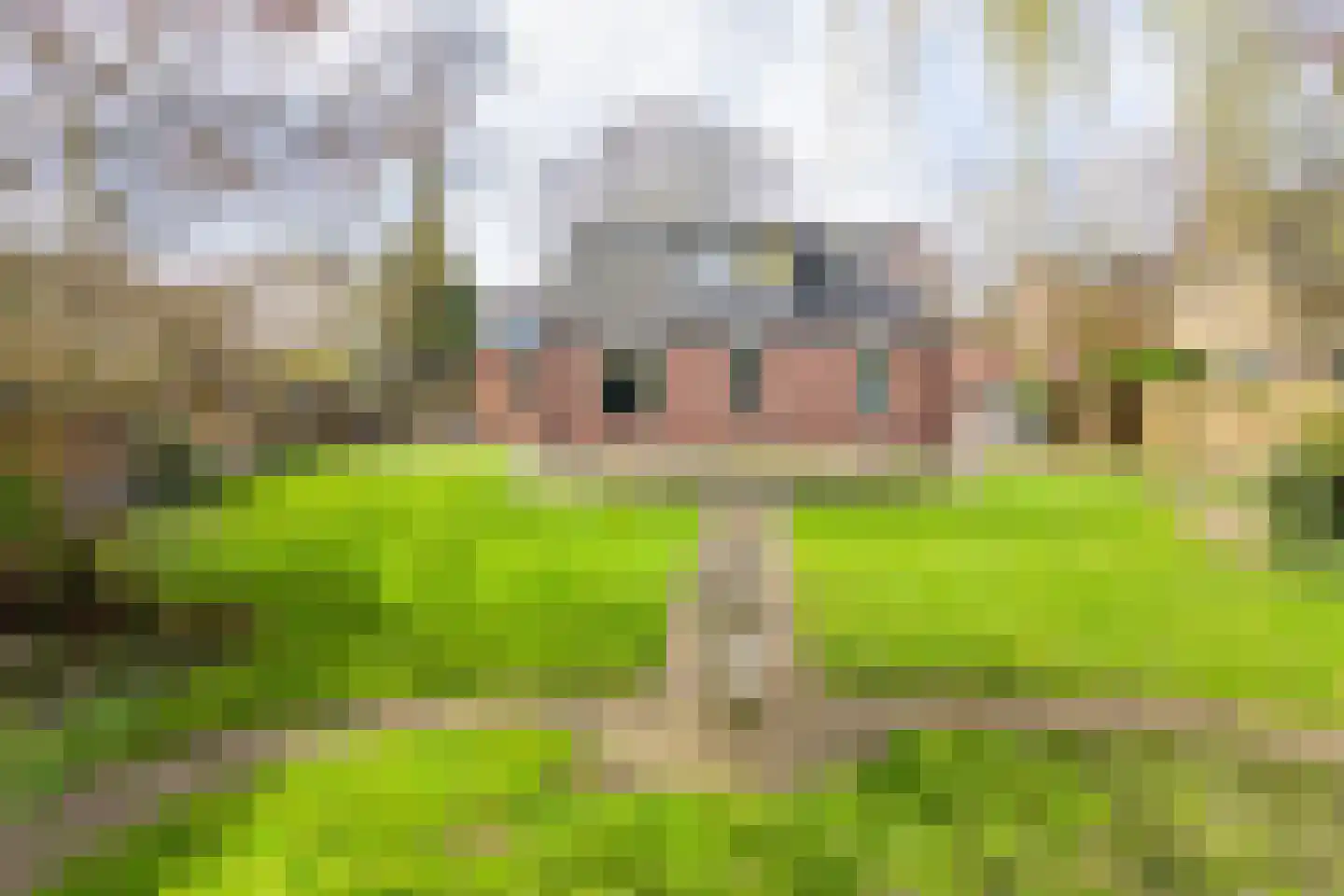 Waterstraat 8 Ulft thumbnail 37
