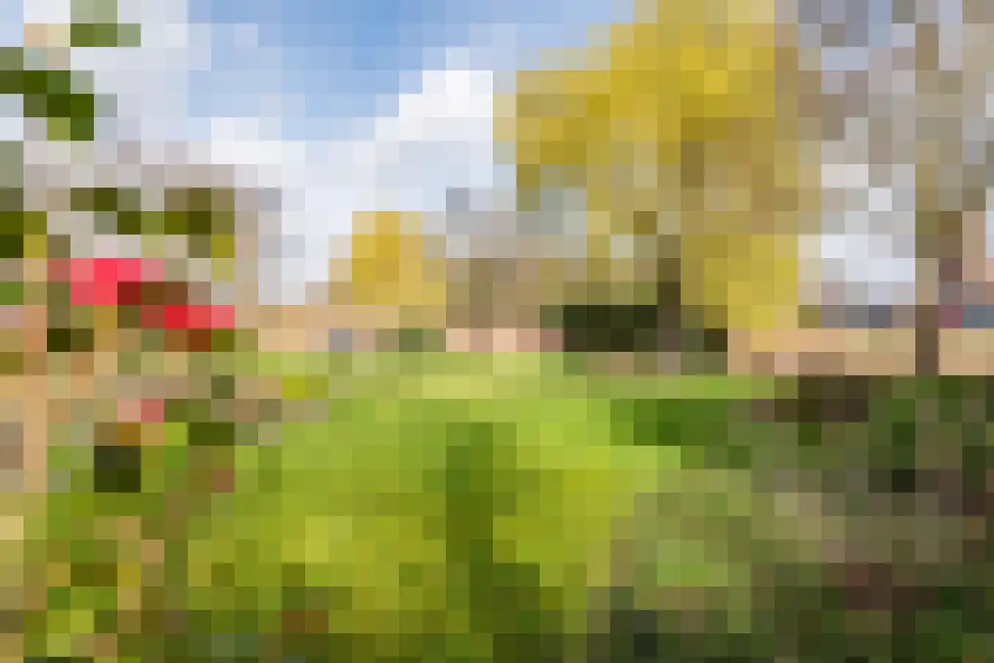 Waterstraat 8 Ulft thumbnail 38