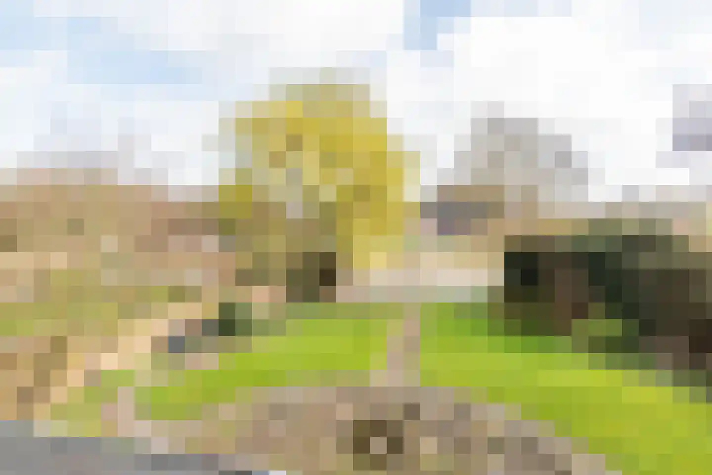 Waterstraat 8 Ulft thumbnail 4