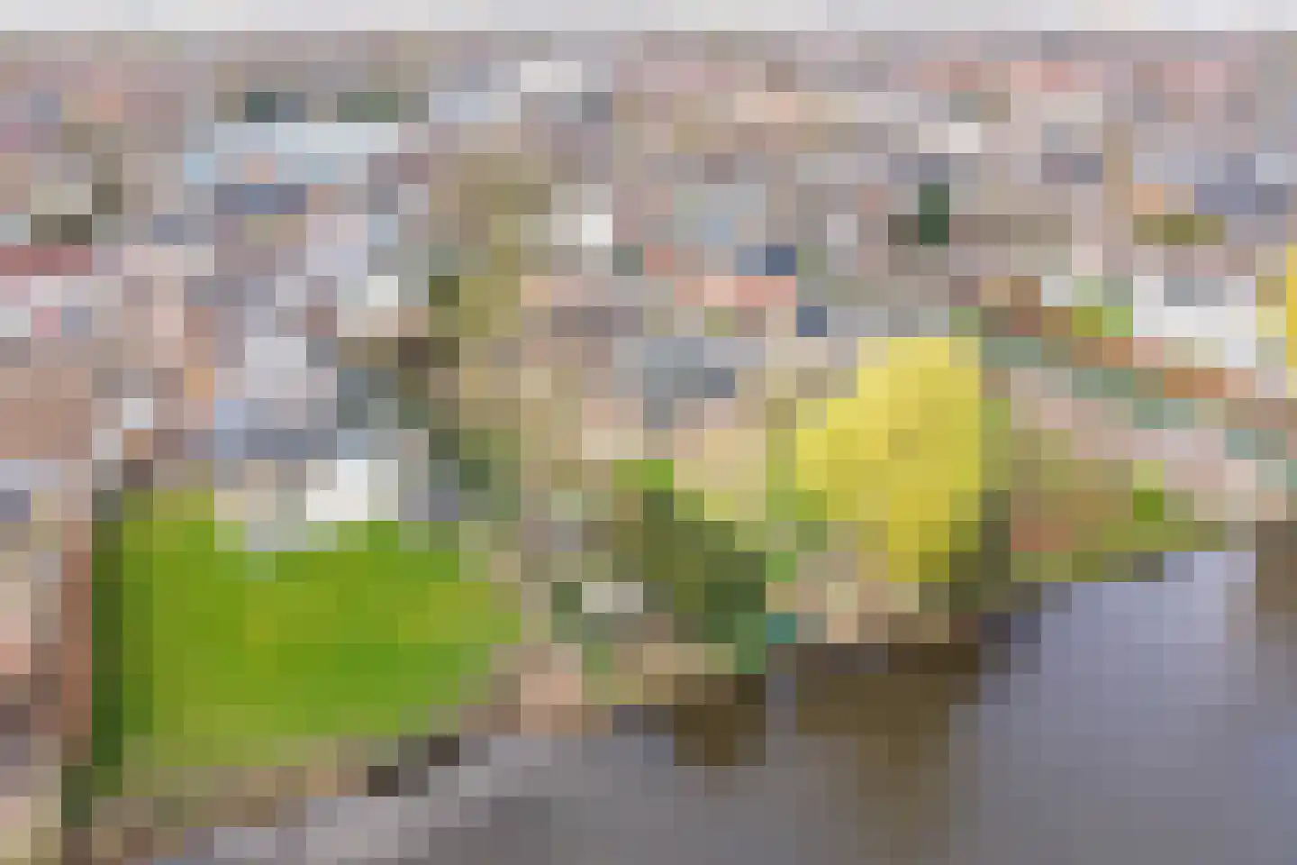 Waterstraat 8 Ulft thumbnail 41