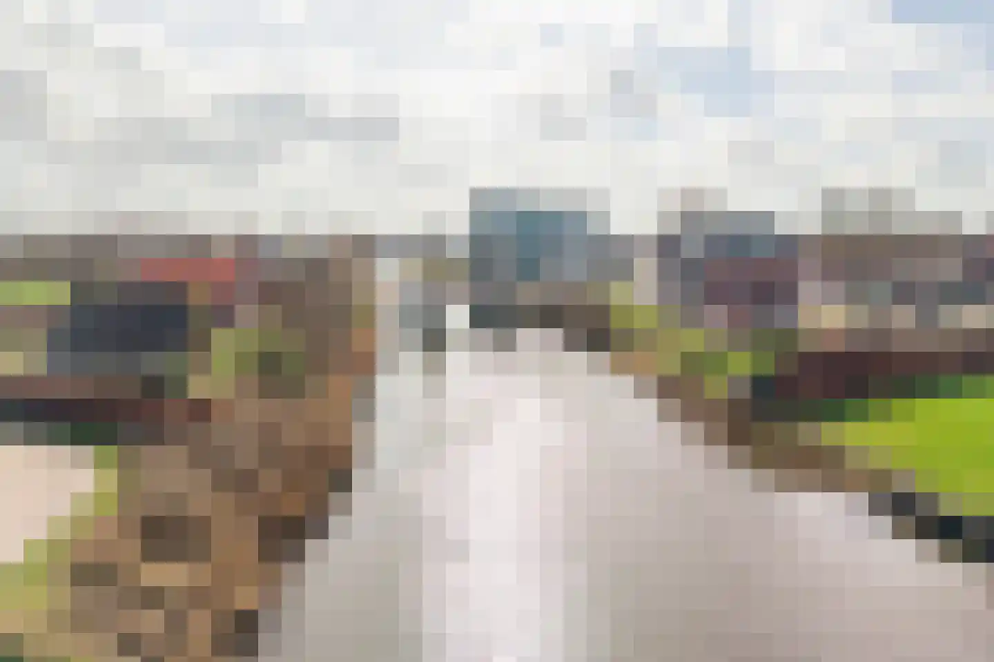 Waterstraat 8 Ulft thumbnail 43
