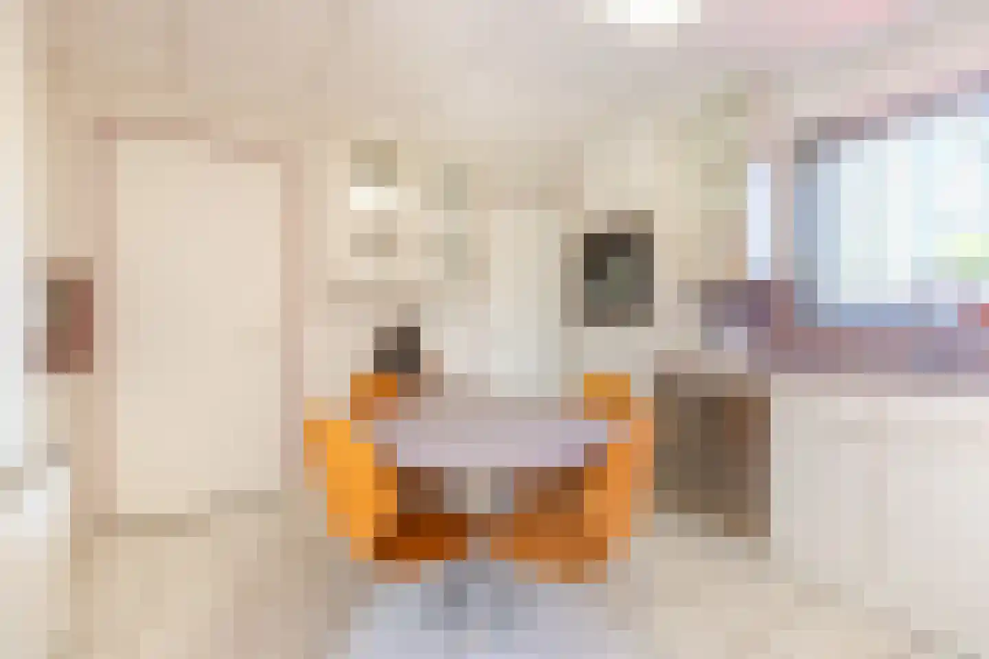 Waterstraat 88 Halsteren thumbnail 22