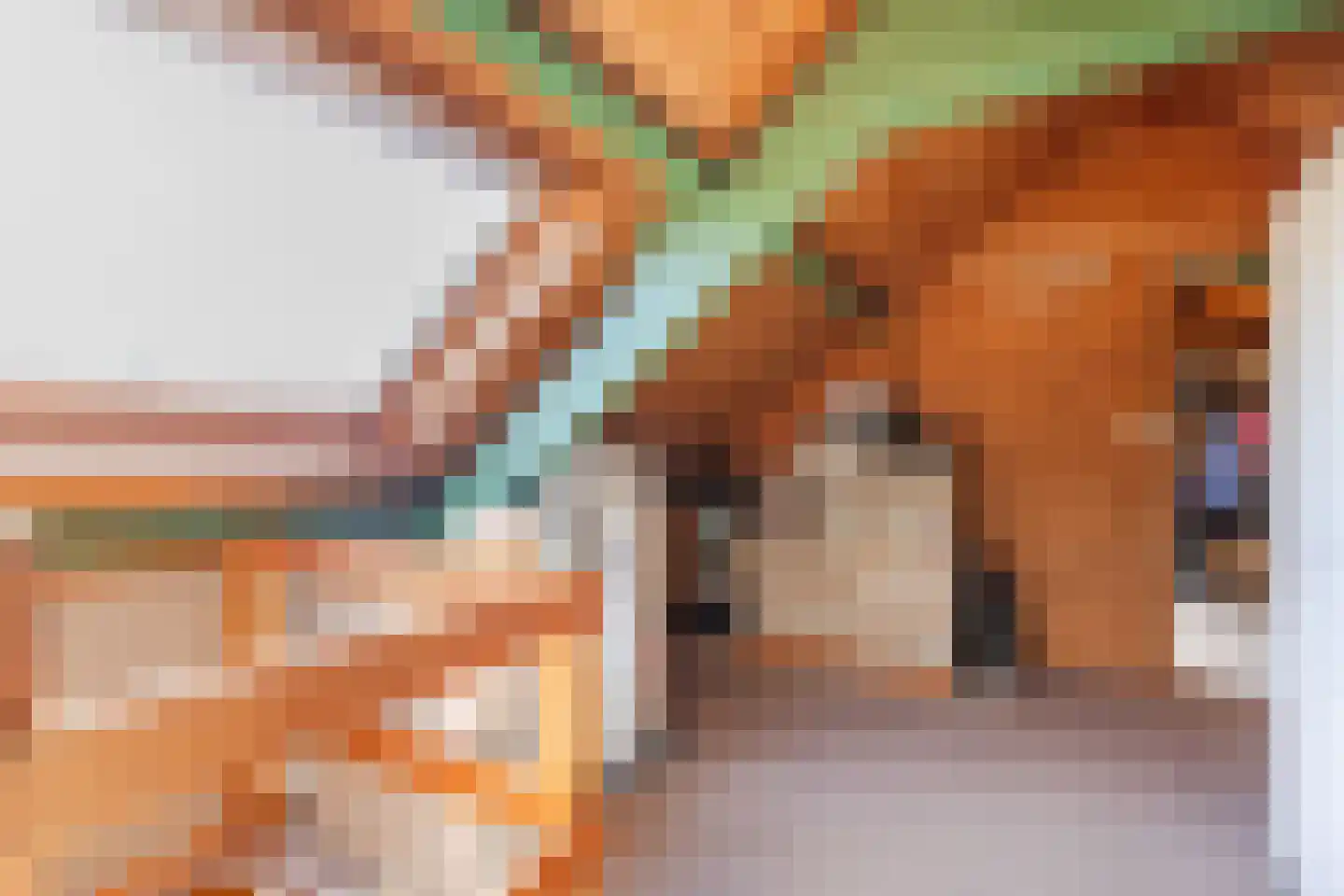 Waterstraat 88 Halsteren thumbnail 42