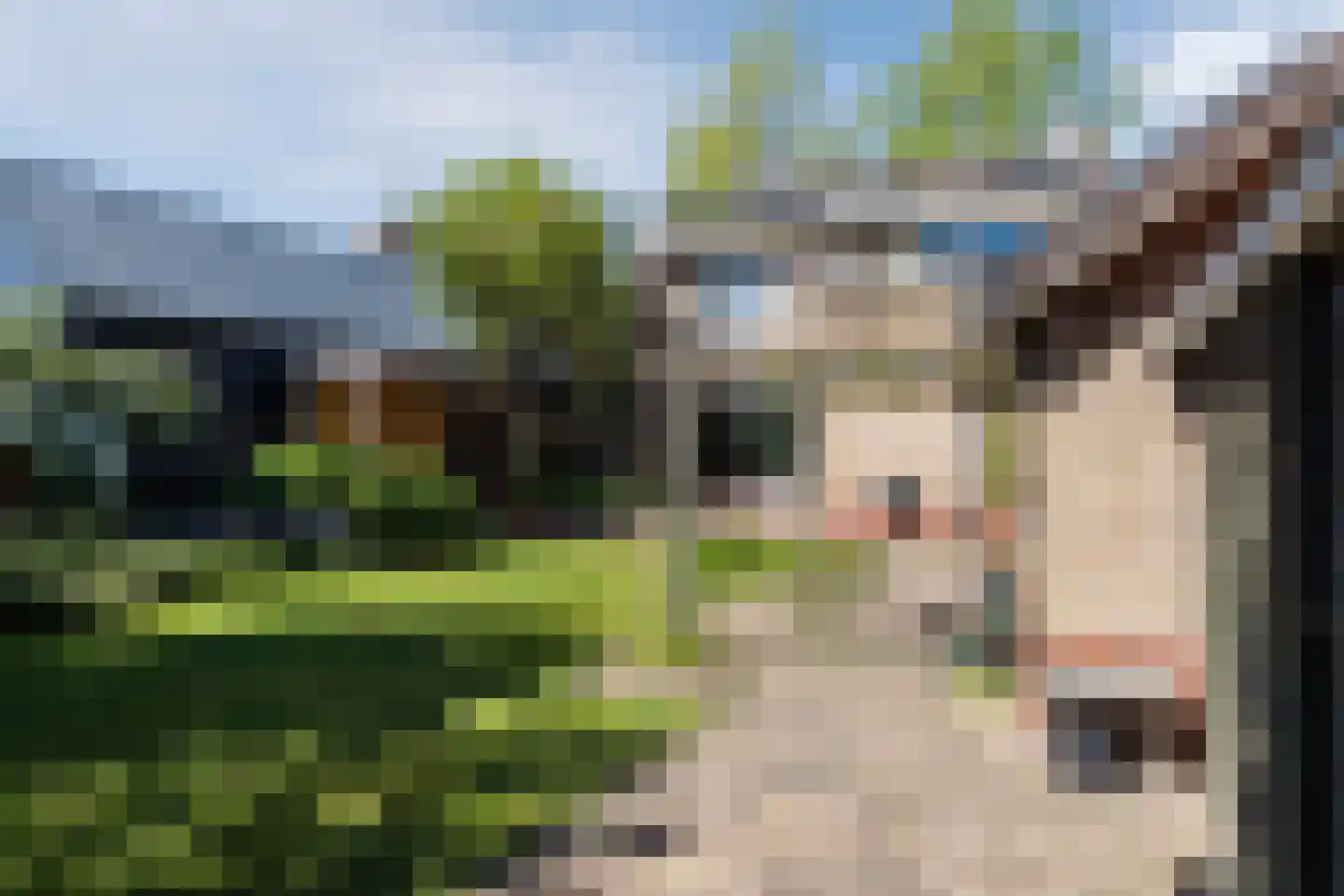 Waterstraat 88 Halsteren thumbnail 57