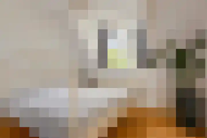 Waterstraat 9 Beek thumbnail 16