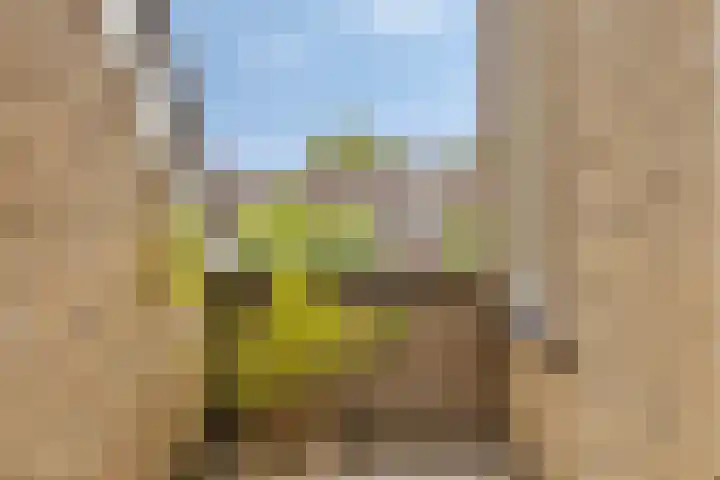 Waterstraat 9 Beek thumbnail 23