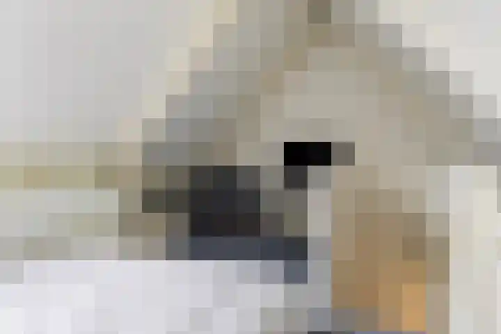 Waterstraat 9 Beek thumbnail 26