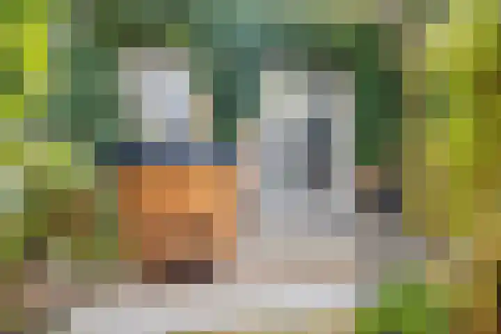 Waterstraat 9 Beek thumbnail 30