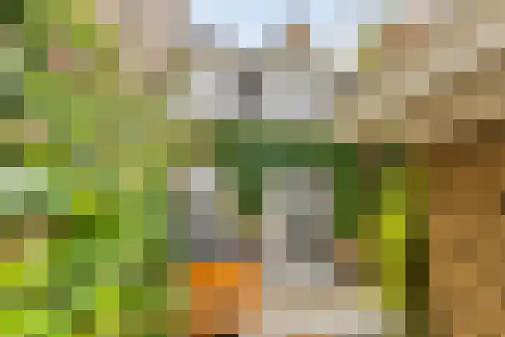 Waterstraat 9 Beek thumbnail 31