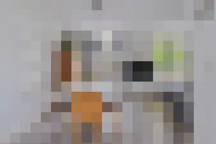 Waterstraat 9 Beek thumbnail 7