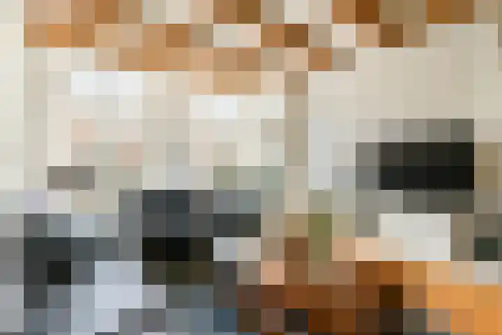 Watertje 26 Zoeterwoude thumbnail 10