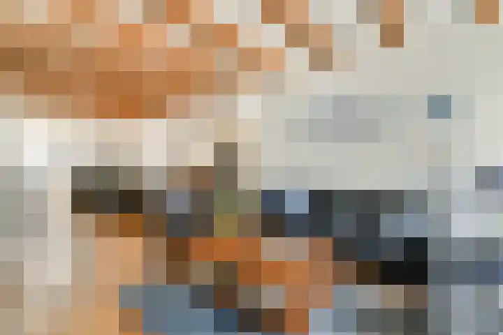 Watertje 26 Zoeterwoude thumbnail 11