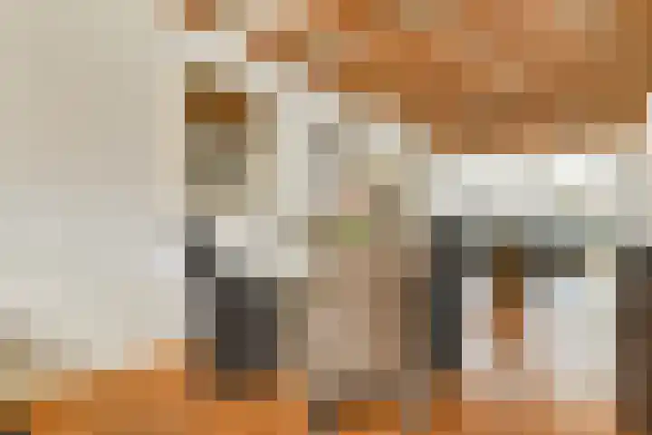 Watertje 26 Zoeterwoude thumbnail 12