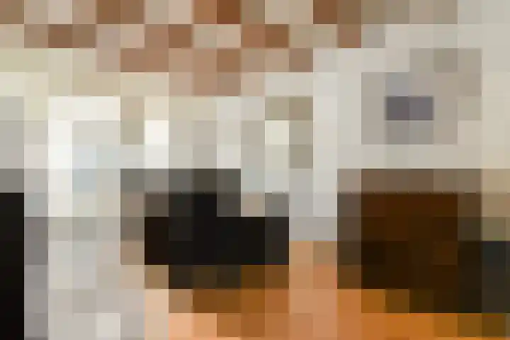 Watertje 26 Zoeterwoude thumbnail 14