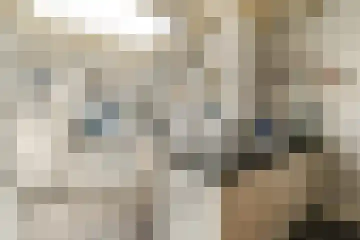 Watertje 26 Zoeterwoude thumbnail 15