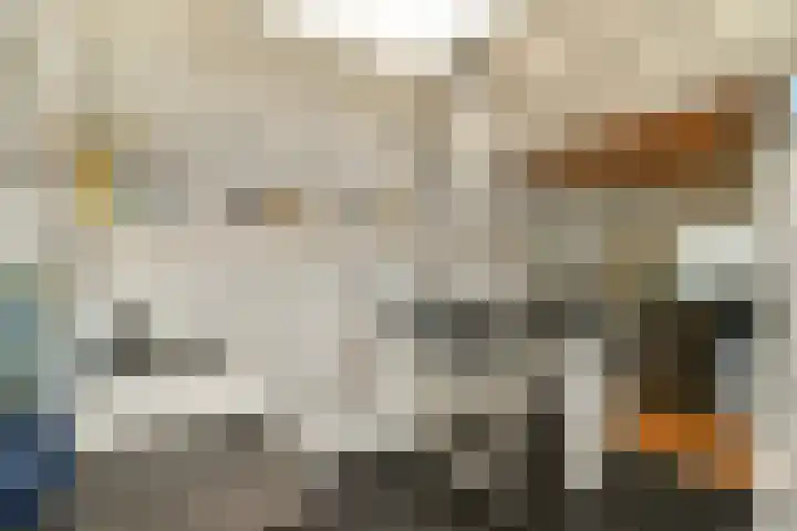 Watertje 26 Zoeterwoude thumbnail 17