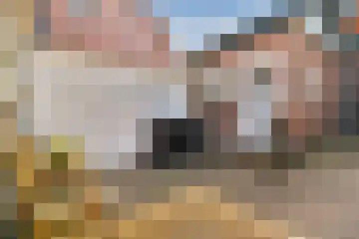 Watertje 26 Zoeterwoude thumbnail 19