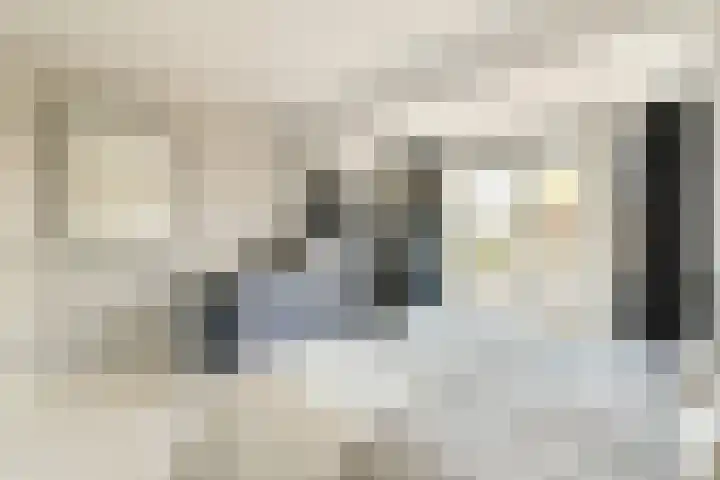 Watertje 26 Zoeterwoude thumbnail 23