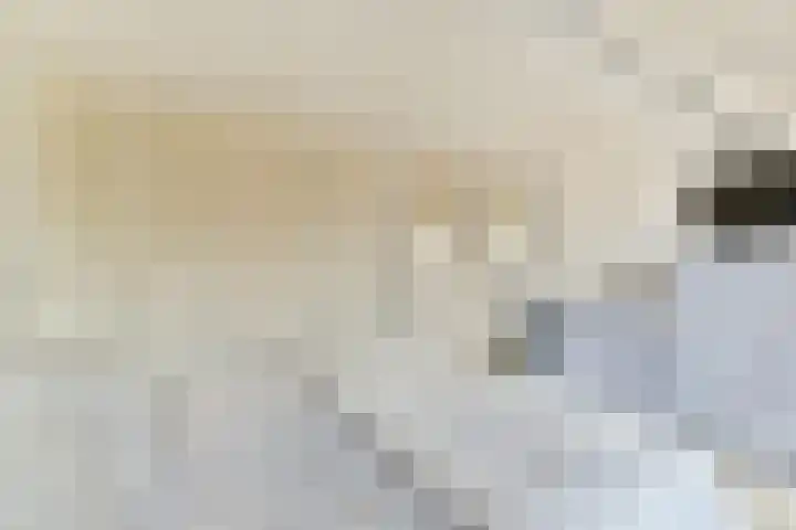 Watertje 26 Zoeterwoude thumbnail 24
