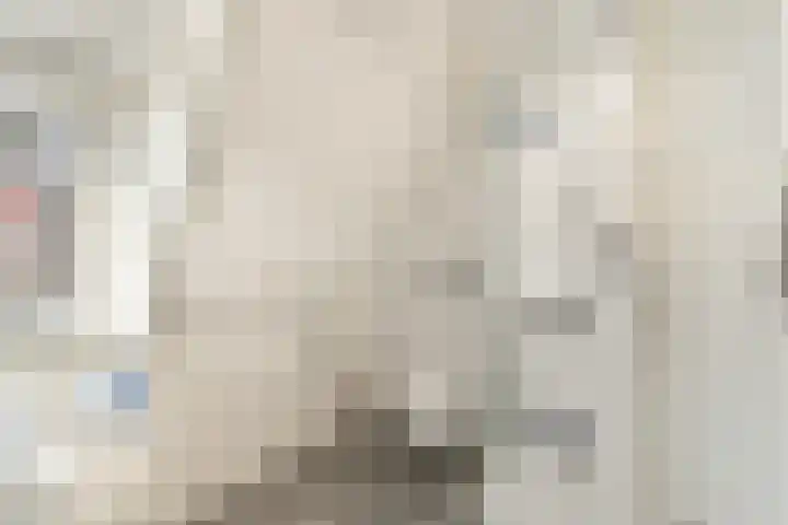 Watertje 26 Zoeterwoude thumbnail 26