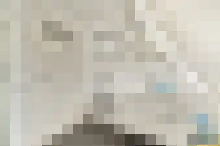 Watertje 26 Zoeterwoude thumbnail 27