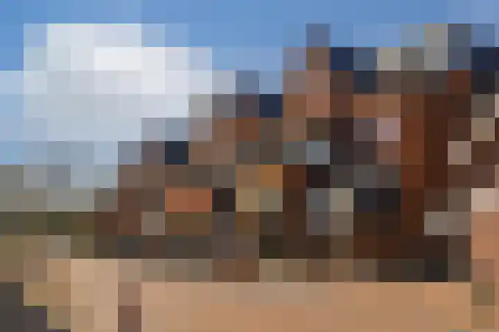 Watertje 26 Zoeterwoude thumbnail 34