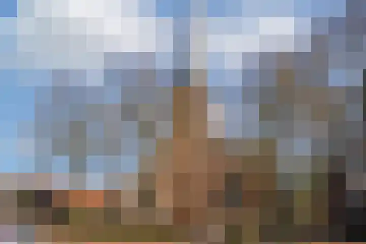 Watertje 26 Zoeterwoude thumbnail 35