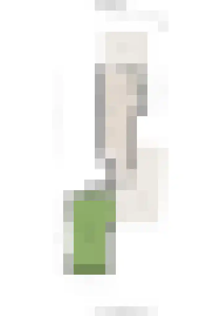 Watertje 26 Zoeterwoude thumbnail 39
