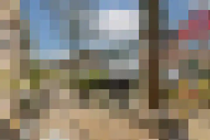 Watertje 26 Zoeterwoude thumbnail 4