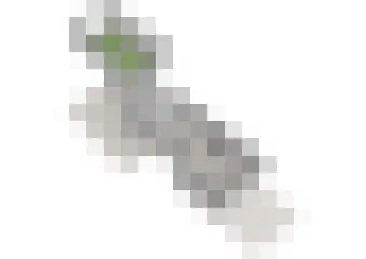 Watertje 26 Zoeterwoude thumbnail 40