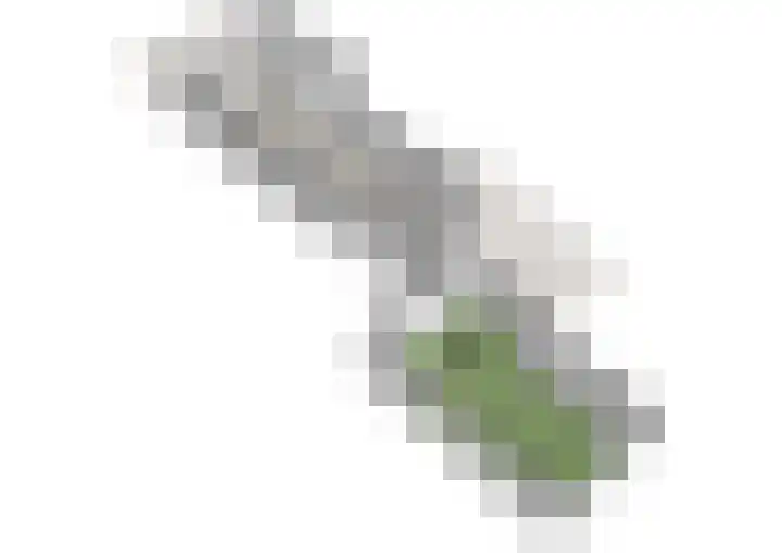 Watertje 26 Zoeterwoude thumbnail 41
