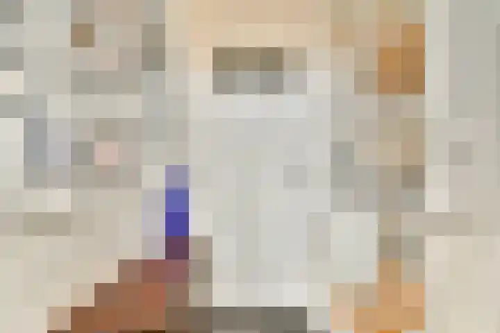 Watertje 26 Zoeterwoude thumbnail 6