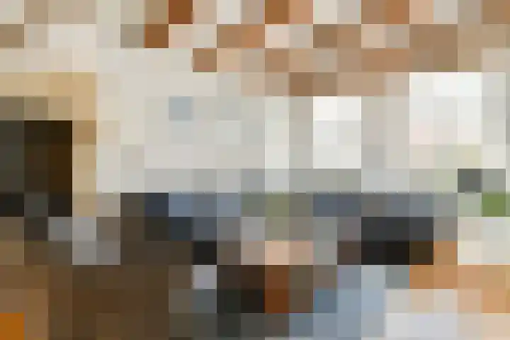 Watertje 26 Zoeterwoude thumbnail 9