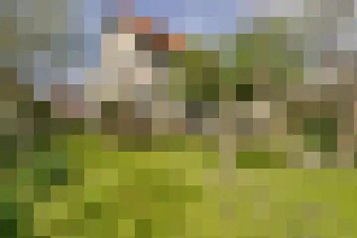 Watertje 29 Zoeterwoude thumbnail 10