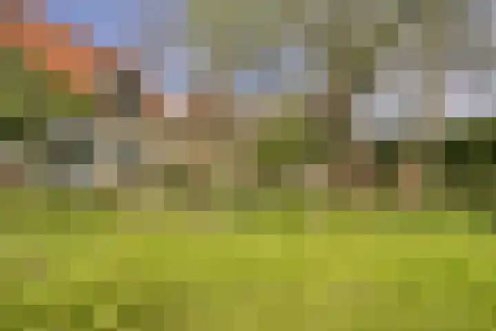 Watertje 29 Zoeterwoude thumbnail 11