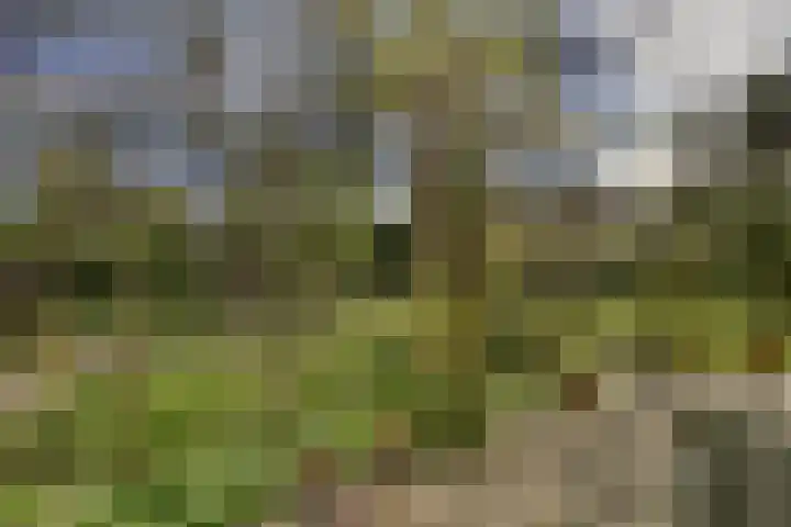 Watertje 29 Zoeterwoude thumbnail 12