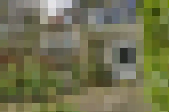 Watertje 29 Zoeterwoude thumbnail 13