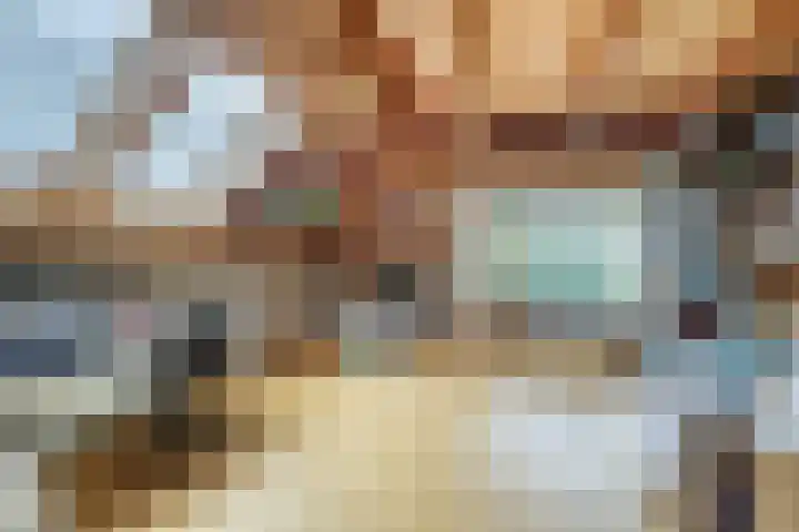 Watertje 29 Zoeterwoude thumbnail 14