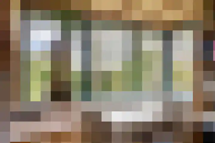 Watertje 29 Zoeterwoude thumbnail 15