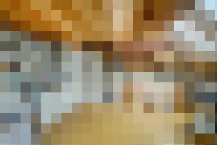Watertje 29 Zoeterwoude thumbnail 16